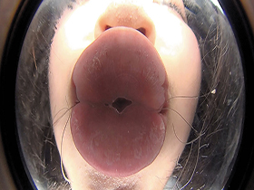 【完全主観】吸引密着キス　サンプル画像10